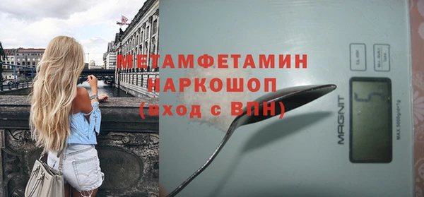 прущие грибы Краснотурьинск