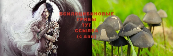прущая мука Краснослободск