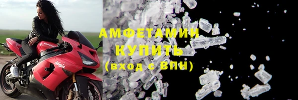 сатива Кулебаки