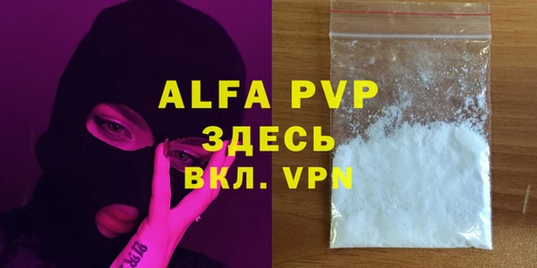 прущие грибы Краснотурьинск