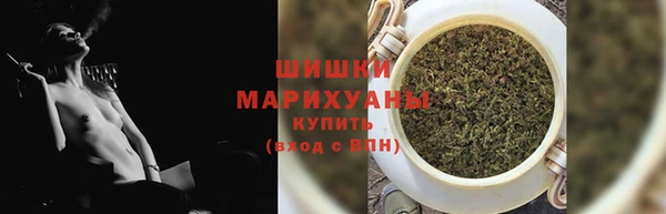 сатива Кулебаки