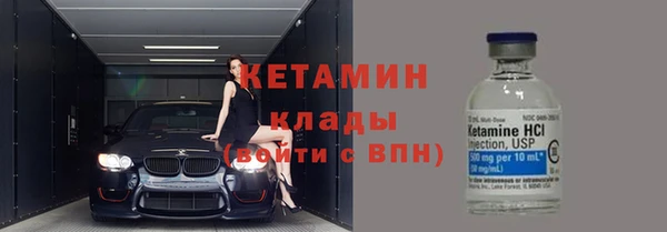 сатива Кулебаки