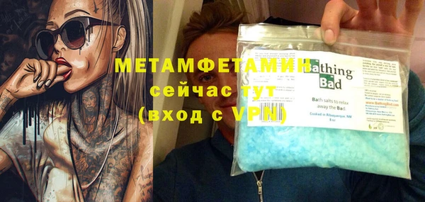 сатива Кулебаки