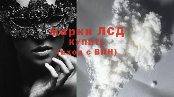 прущие грибы Краснотурьинск