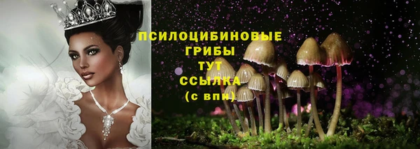 сатива Кулебаки