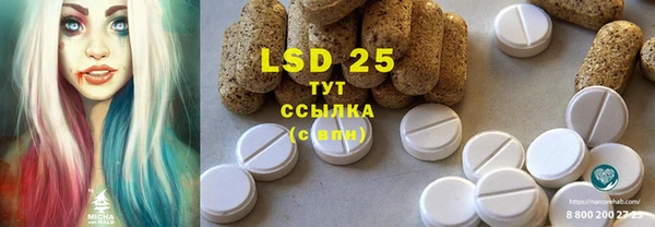 прущие грибы Краснотурьинск