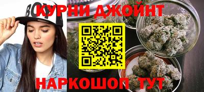 гидропоника Ставрополь