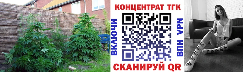 МЕГА   Маркс  Дистиллят ТГК гашишное масло 