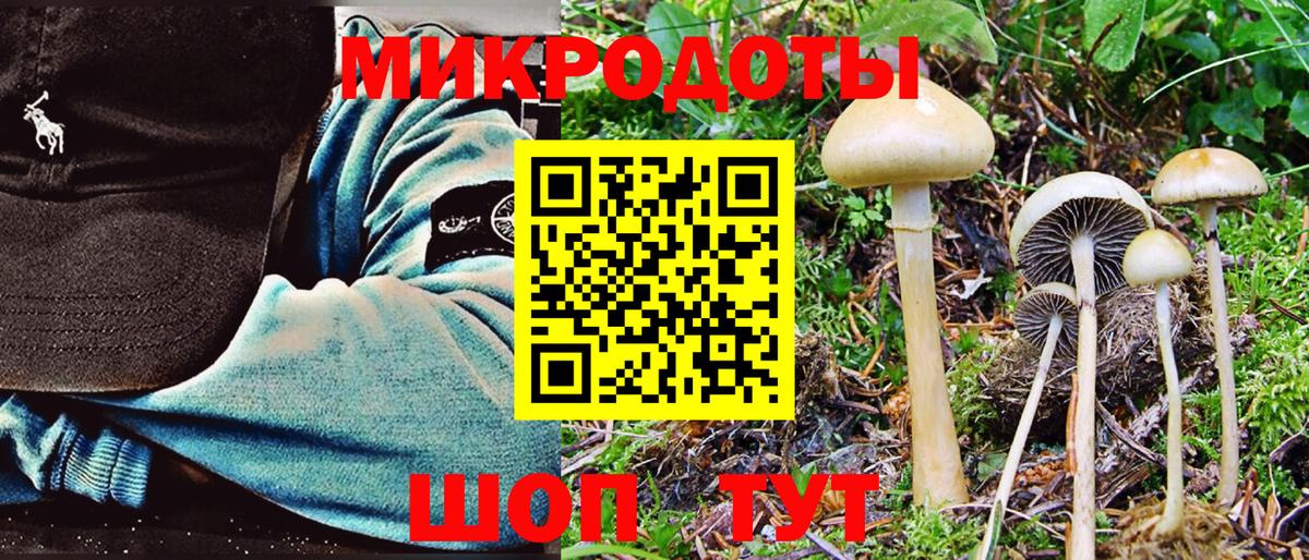 Псилоцибиновые грибы мицелий Маркс