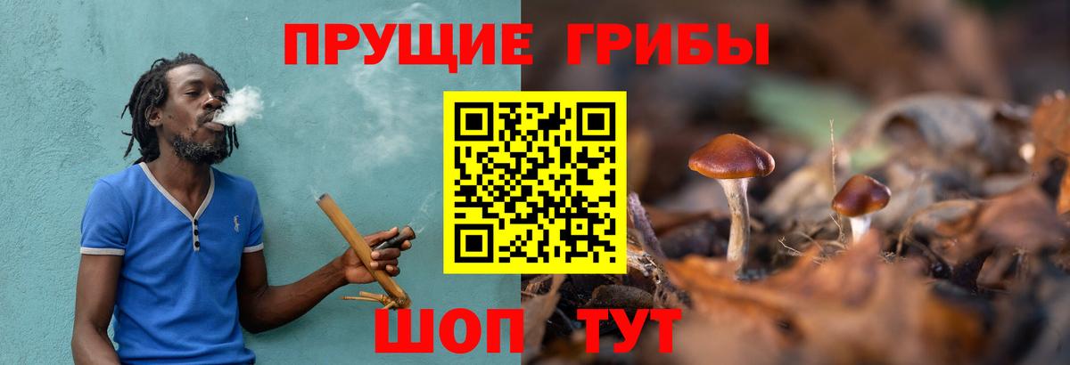 Галлюциногенные грибы Magic Shrooms  хочу   Маркс  Вход с VPN  Галлюциногенные грибы Cubensis 
